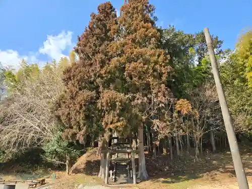 金沢山神社・金沢西宮神社(静岡県)