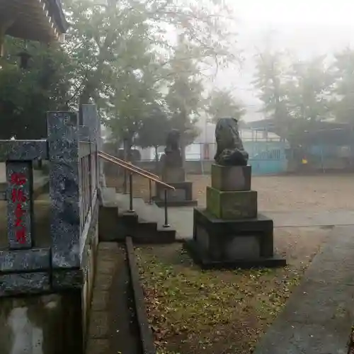 白髭神社の狛犬