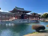 平等院の{uncategorized: "未分類", other: "その他", undefined: "問題あり", building: "その他建物", grave: "お墓", sacred_gate: "鳥居", guardian: "狛犬", statue: "像", buddha: "仏像", history: "歴史", nature: "自然", garden: "庭園", animal: "動物", pagoda: "塔", temizu: "手水舎", mountain_gate: "山門・神門", sanctuary: "本殿・本堂", subordinate: "末社・摂社", art: "芸術", scenery: "景色", jizo: "地蔵", ema: "絵馬", goshuin: "御朱印", omikuji: "おみくじ", items: "授与品その他", amulet: "お守り", goshuincho: "御朱印帳", eats: "食事", festival: "お祭り", votive_dance: "神楽", shichigosan: "七五三参", wedding: "結婚式", experience: "体験その他", initially: "初詣", around: "周辺", anti_infection: "感染症対策"}