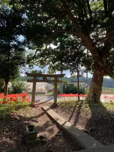 天神社の鳥居