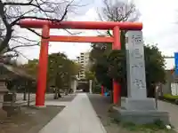 稲毛神社の鳥居