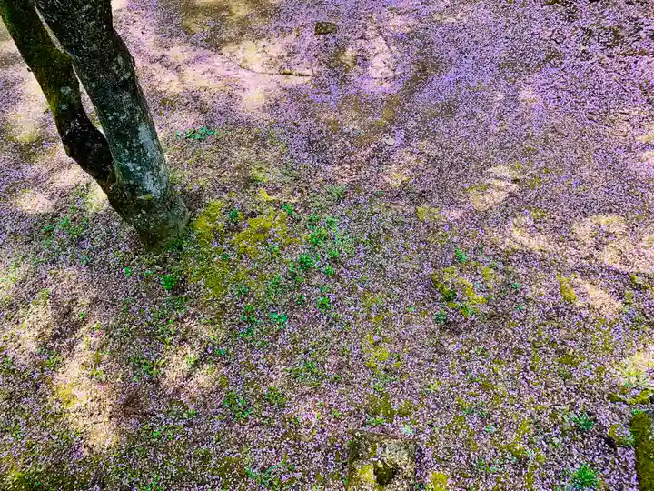 土津神社|こどもと出世の神さまの自然