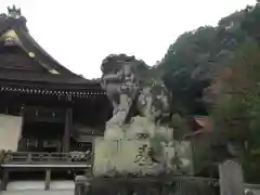 出雲大神宮の狛犬