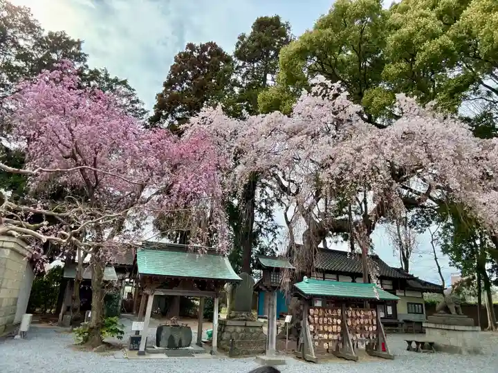 三島八幡神社(福島県)
