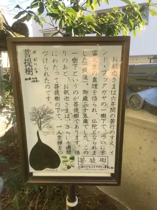 普光寺(愛知県)