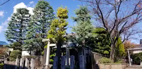 水神宮の鳥居
