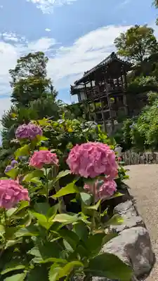 善峯寺(京都府)