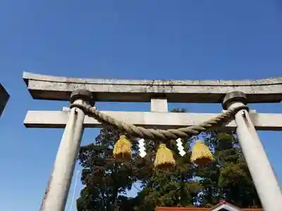 水宮神社の鳥居