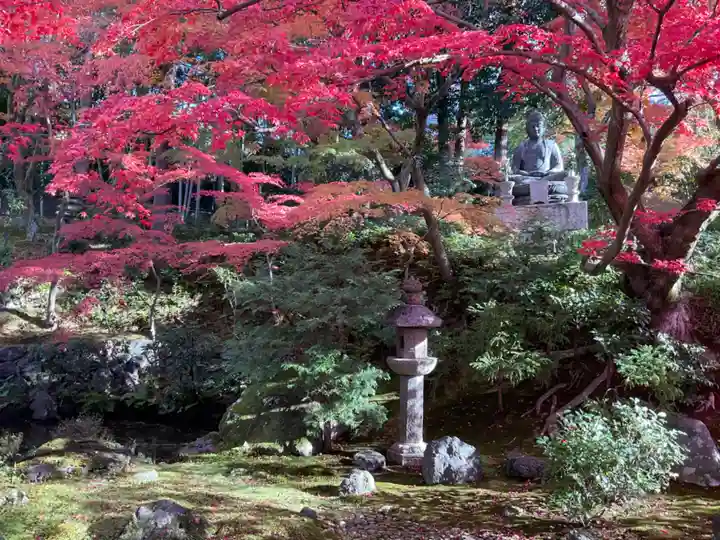 榮攝院(栄摂院)(京都府)