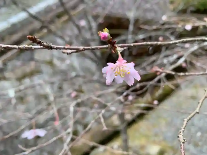 播州清水寺の自然