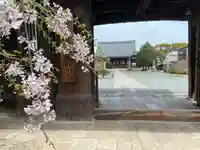 妙覺寺(妙覚寺)(京都府)