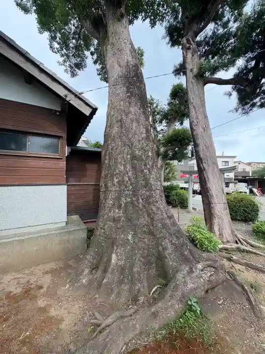 八幡神社(静岡県)