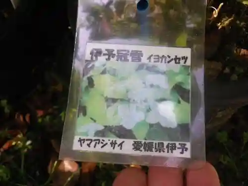 光則寺のその他建物