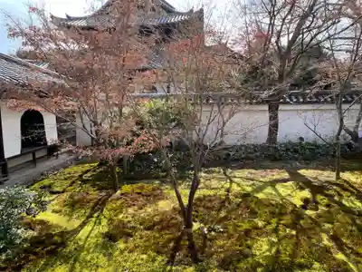 興聖寺(京都府)