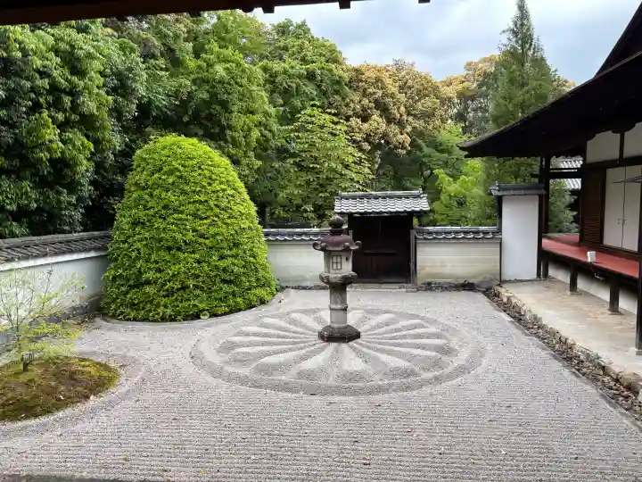 雲龍院の{uncategorized: "未分類", other: "その他", undefined: "問題あり", building: "その他建物", grave: "お墓", sacred_gate: "鳥居", guardian: "狛犬", statue: "像", buddha: "仏像", history: "歴史", nature: "自然", garden: "庭園", animal: "動物", pagoda: "塔", temizu: "手水舎", mountain_gate: "山門・神門", sanctuary: "本殿・本堂", subordinate: "末社・摂社", art: "芸術", scenery: "景色", jizo: "地蔵", ema: "絵馬", goshuin: "御朱印", omikuji: "おみくじ", items: "授与品その他", amulet: "お守り", goshuincho: "御朱印帳", eats: "食事", festival: "お祭り", votive_dance: "神楽", shichigosan: "七五三参", wedding: "結婚式", experience: "体験その他", initially: "初詣", around: "周辺", anti_infection: "感染症対策"}