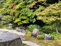 南禅寺の庭園