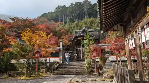 鍬山神社(京都府)