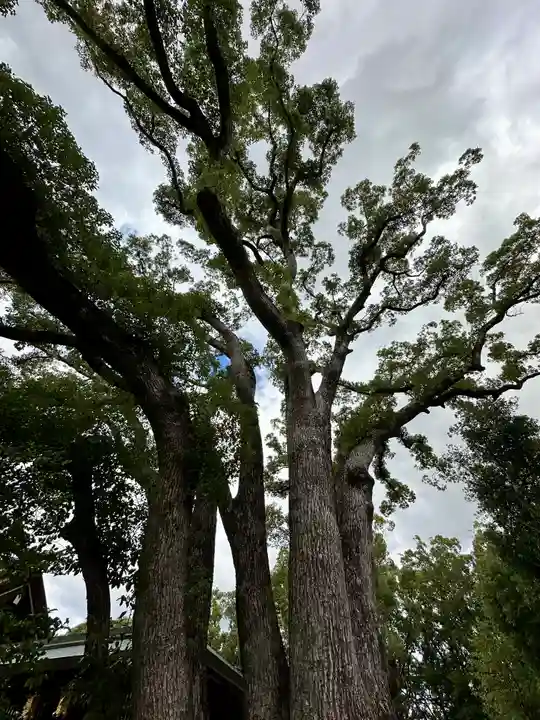 和泉國一之宮 大鳥大社(大阪府)