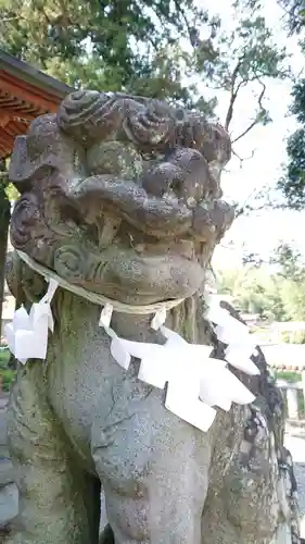 甲波宿祢神社の狛犬