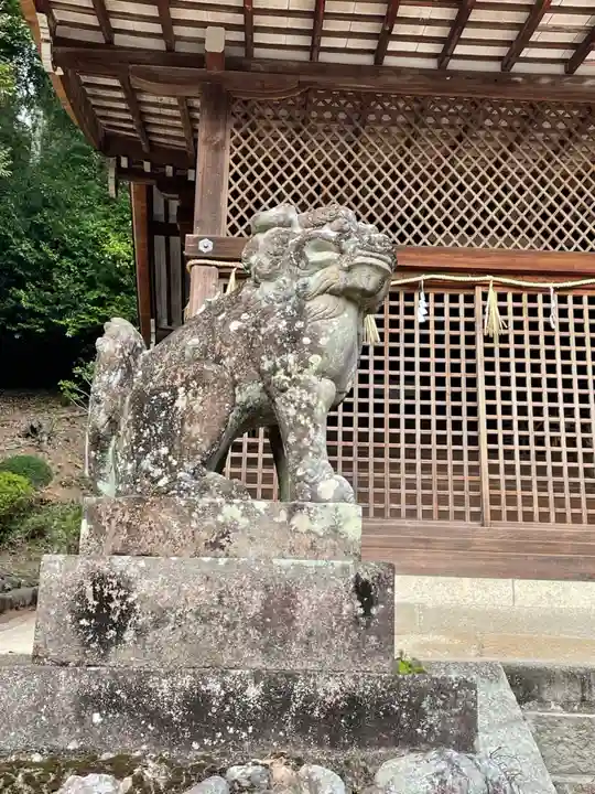 宇治上神社の狛犬