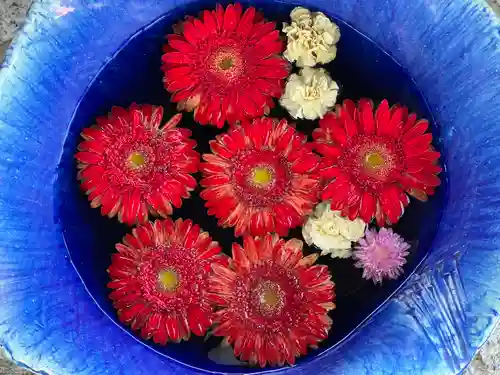 川越八幡宮(埼玉県)