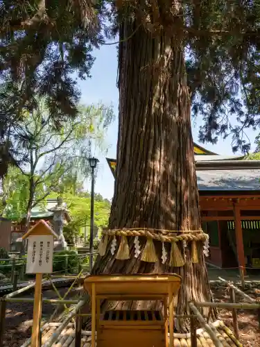 志波彦神社・鹽竈神社(宮城県)