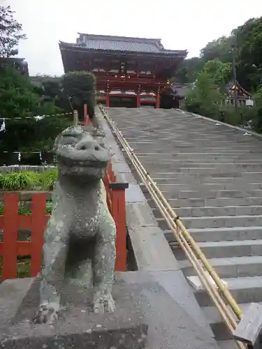 鶴岡八幡宮の狛犬