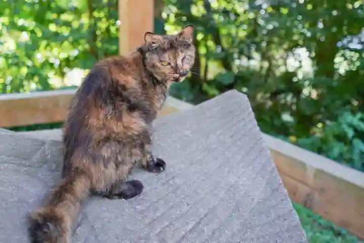東隆寺(山口県)
