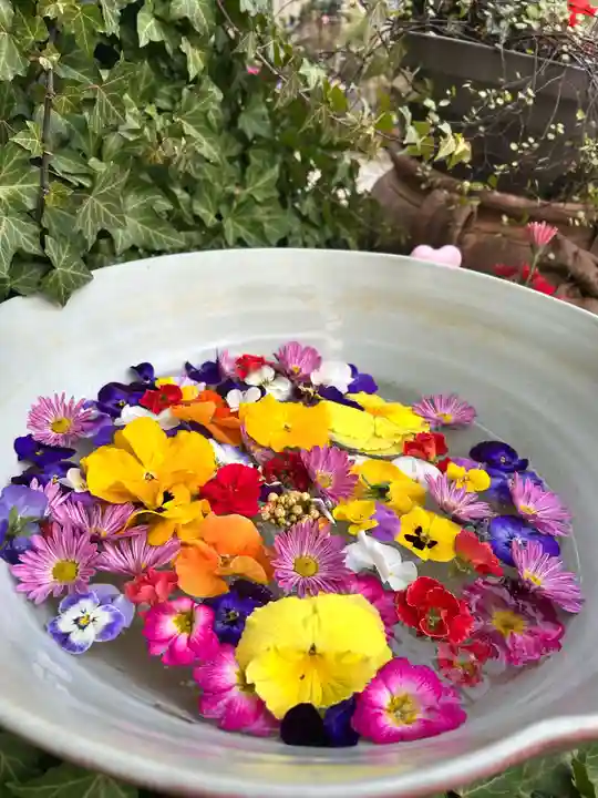 今戸神社(東京都)