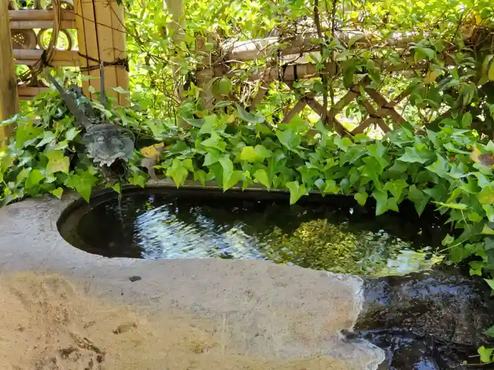 地蔵院の手水舎