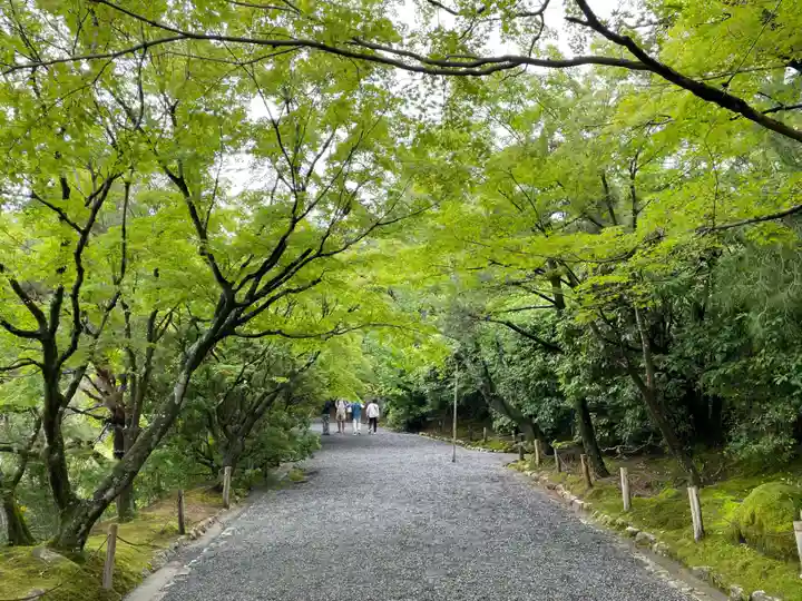 龍安寺(京都府)