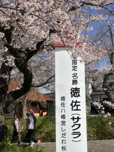 徳佐八幡宮(山口県)