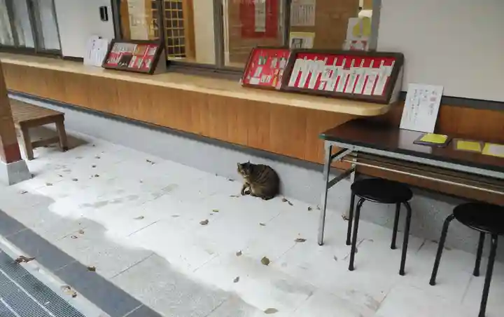 一宮神社の動物