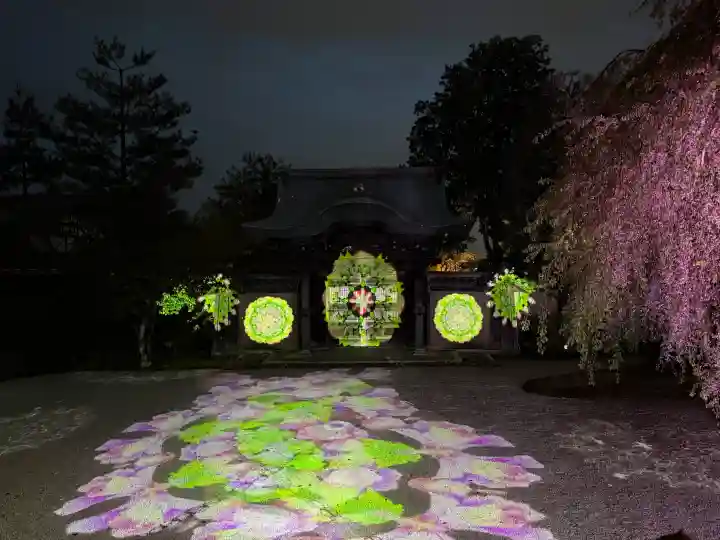 高台寺(高台寿聖禅寺・高臺寺)の{uncategorized: "未分類", other: "その他", undefined: "問題あり", building: "その他建物", grave: "お墓", sacred_gate: "鳥居", guardian: "狛犬", statue: "像", buddha: "仏像", history: "歴史", nature: "自然", garden: "庭園", animal: "動物", pagoda: "塔", temizu: "手水舎", mountain_gate: "山門・神門", sanctuary: "本殿・本堂", subordinate: "末社・摂社", art: "芸術", scenery: "景色", jizo: "地蔵", ema: "絵馬", goshuin: "御朱印", omikuji: "おみくじ", items: "授与品その他", amulet: "お守り", goshuincho: "御朱印帳", eats: "食事", festival: "お祭り", votive_dance: "神楽", shichigosan: "七五三参", wedding: "結婚式", experience: "体験その他", initially: "初詣", around: "周辺", anti_infection: "感染症対策"}