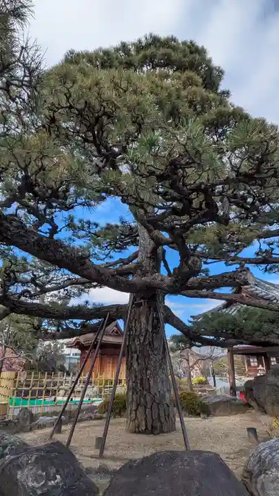 総持寺(大阪府)
