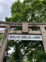 安井金比羅宮の鳥居