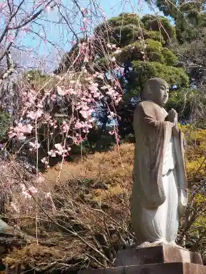 本土寺(千葉県)