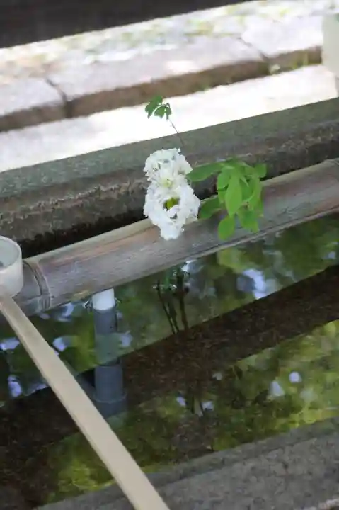 真正極楽寺(真如堂)(京都府)