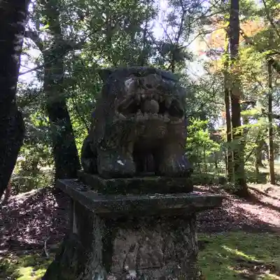 綾神社の狛犬