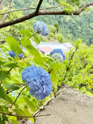 熊野那智大社(和歌山県)