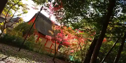 出雲大神宮の景色