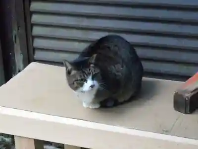 薬力社(京都府)