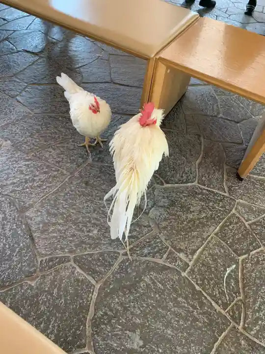 伊勢神宮内宮(皇大神宮)(三重県)