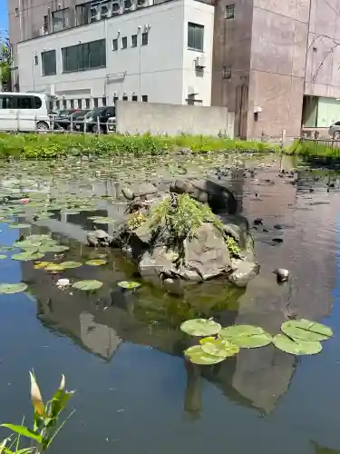 善知鳥神社の{uncategorized: "未分類", other: "その他", undefined: "問題あり", building: "その他建物", grave: "お墓", sacred_gate: "鳥居", guardian: "狛犬", statue: "像", buddha: "仏像", history: "歴史", nature: "自然", garden: "庭園", animal: "動物", pagoda: "塔", temizu: "手水舎", mountain_gate: "山門・神門", sanctuary: "本殿・本堂", subordinate: "末社・摂社", art: "芸術", scenery: "景色", jizo: "地蔵", ema: "絵馬", goshuin: "御朱印", omikuji: "おみくじ", items: "授与品その他", amulet: "お守り", goshuincho: "御朱印帳", eats: "食事", festival: "お祭り", votive_dance: "神楽", shichigosan: "七五三参", wedding: "結婚式", experience: "体験その他", initially: "初詣", around: "周辺", anti_infection: "感染症対策"}