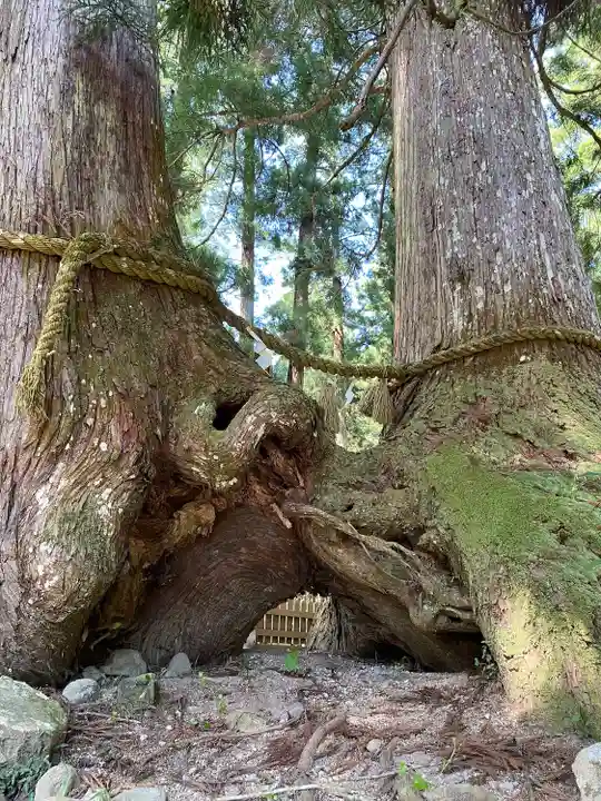 室生龍穴神社(奈良県)