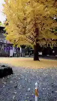 下野 星宮神社の自然