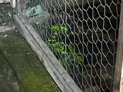 宝積山光前寺(長野県)