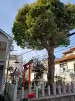 釿桐神社のその他建物