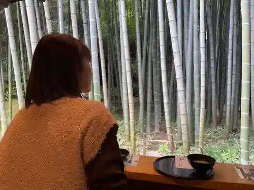 報国寺(神奈川県)