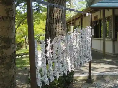 桜ヶ池池宮神社のおみくじ